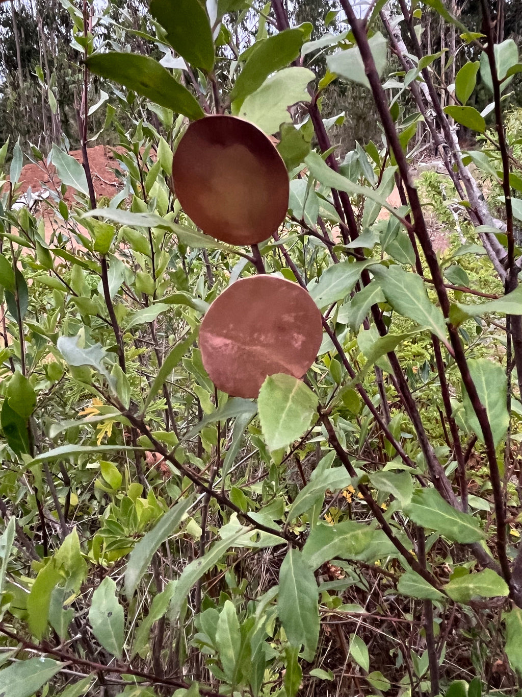 Aros círculo cobre