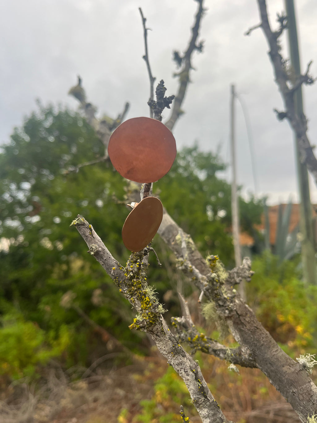 Aros círculo cobre