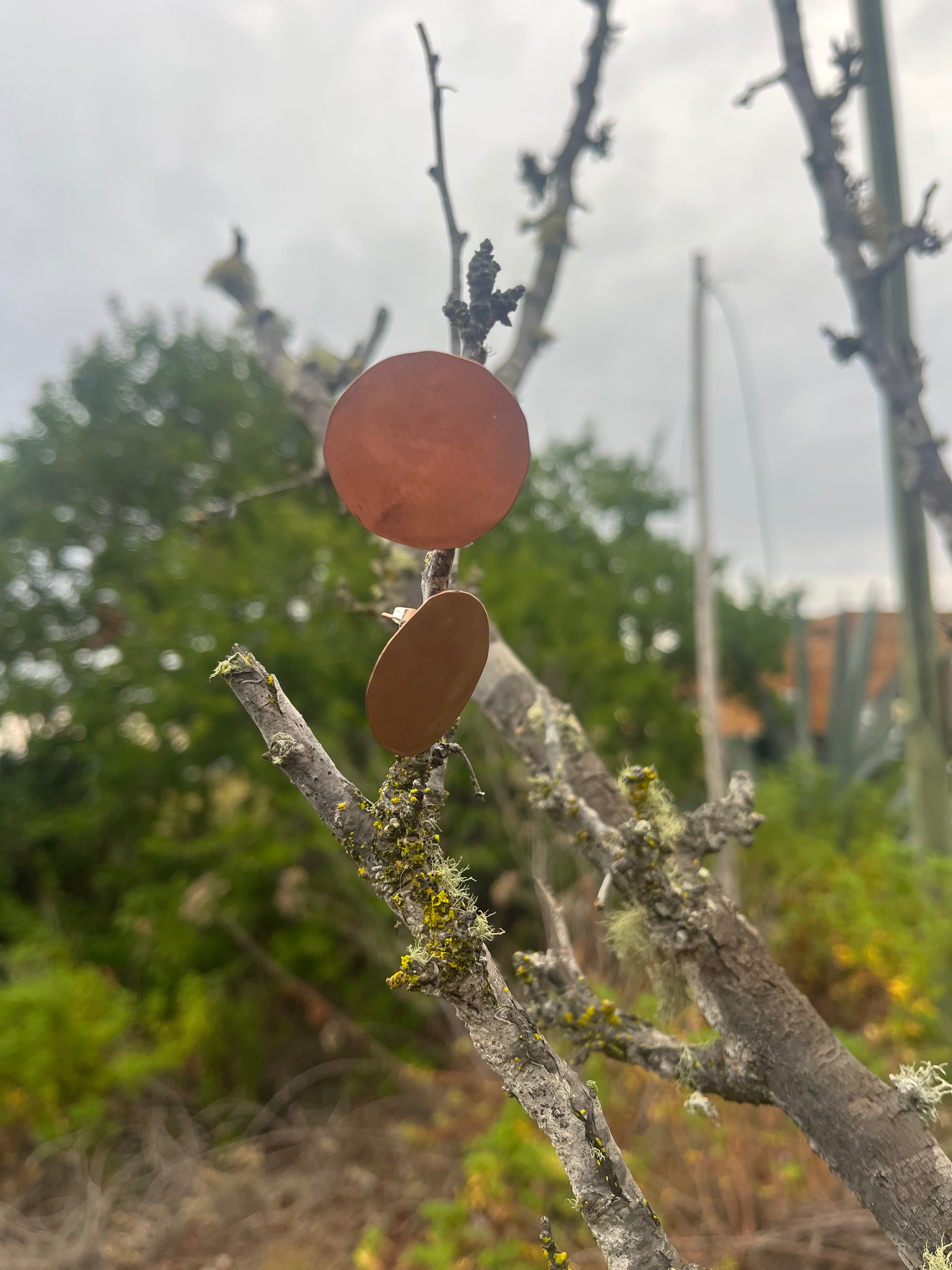 Aros círculo cobre