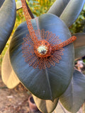 Collar tubular + colgante serpentina tejido